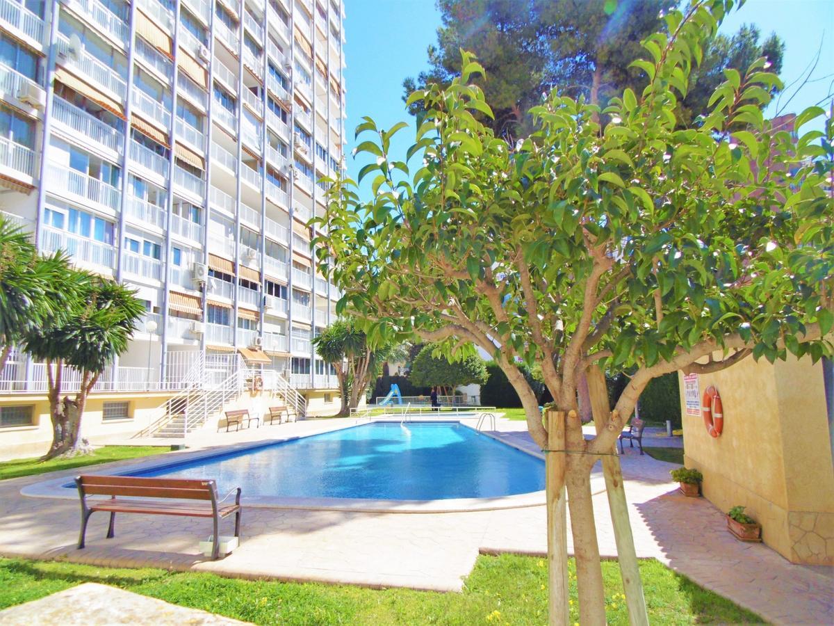 Albatros 13-1 Apartment Benidorm Exterior photo